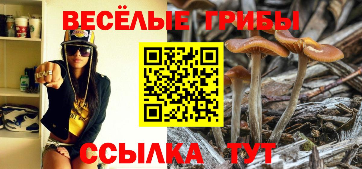 что такое наркотик  Псилоцибиновые грибы Magic Shrooms  Галлюциногенные грибы Psilocybe  Вход с VPN  Урус-Мартан 